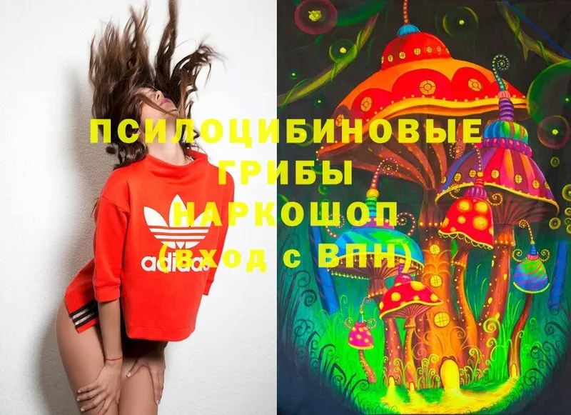 Псилоцибиновые грибы Cubensis  где продают наркотики  Таганрог 